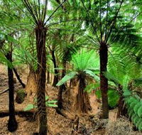 Pegarah Private Nature Reserve  Parenna Place - Accommodation Sunshine Coast