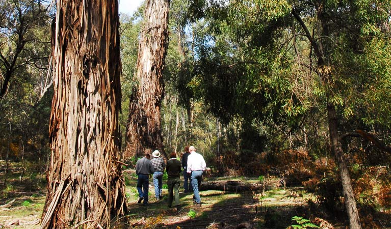 Reidsdale NSW Accommodation Sunshine Coast