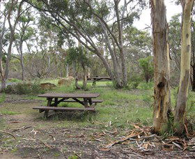 Box Vale Picnic Area - Accommodation Sunshine Coast 2