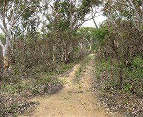 Box Vale Picnic Area - Accommodation Sunshine Coast 4
