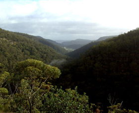 Nattai Gorge Lookout - Accommodation Sunshine Coast 0