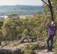 Gibbergunyah Reserve - Accommodation Sunshine Coast
