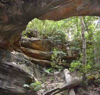 Cave Creek Walking Track - Accommodation Sunshine Coast