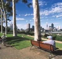 Kings Park and Botanic Garden - Accommodation Sunshine Coast