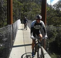McGees Cycling Store - Accommodation Sunshine Coast