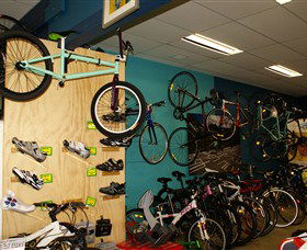 McGees Cycling Store - Accommodation Sunshine Coast 1