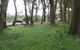 Bowral Lookout - thumb 3