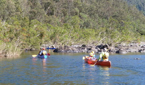 Nymboida National Park - Accommodation Sunshine Coast 1