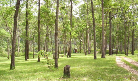 Nymboida National Park - Accommodation Sunshine Coast 2