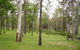 Nymboida National Park - thumb 3