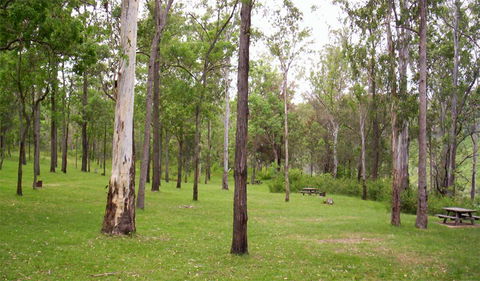 Nymboida National Park - Accommodation Sunshine Coast 3