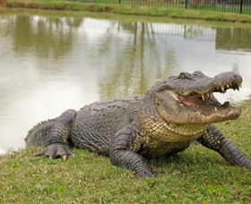 Hunter Valley Zoo - Accommodation Sunshine Coast 1