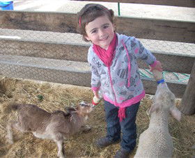 Hunter Valley Zoo - Accommodation Sunshine Coast 4