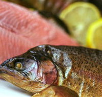 Lovedale Smokehouse Gourmet Pantry Cafe and Masterclasses - Accommodation Sunshine Coast