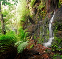 Fairy Bower Falls - Accommodation Sunshine Coast