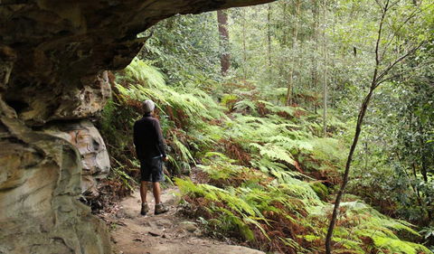 Dharug National Park - Accommodation Sunshine Coast 0