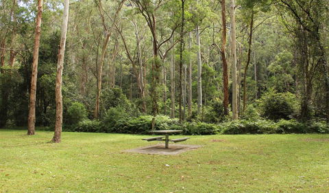 Dharug National Park - Accommodation Sunshine Coast 3