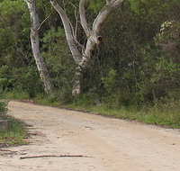 Riverview walking track - Accommodation Sunshine Coast