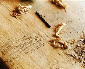 Sally Beresford Antiques/French Farmhouse Tables - Accommodation Sunshine Coast 2
