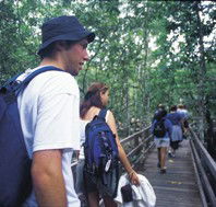 Bellthorpe National Park - Accommodation Sunshine Coast