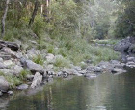 Bellthorpe National Park - Accommodation Sunshine Coast 1