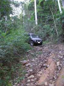 Bellthorpe National Park - Accommodation Sunshine Coast 3