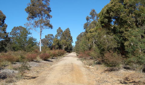 Werakata National Park - Accommodation Sunshine Coast 0