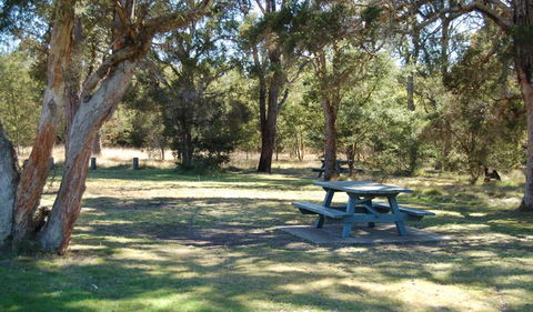 Werakata National Park - Accommodation Sunshine Coast 1