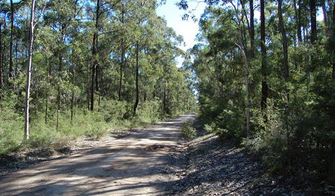 Werakata National Park - Accommodation Sunshine Coast 2