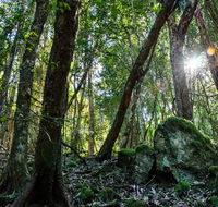 Copeland Tops State Conservation Area - Accommodation Sunshine Coast