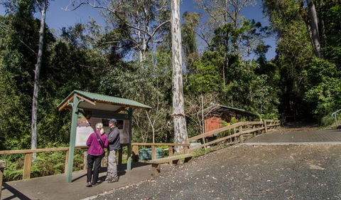 Copeland Tops State Conservation Area - Accommodation Sunshine Coast 2