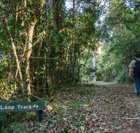 Basin Loop track - Accommodation Sunshine Coast