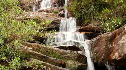 Popran National Park - Accommodation Sunshine Coast 1