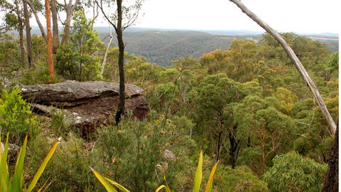 Popran National Park - Accommodation Sunshine Coast 3