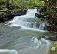 Jerusalem Creek trail - Accommodation Sunshine Coast