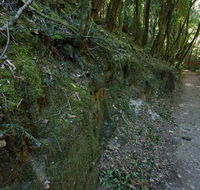 Hidden Treasure track - Accommodation Sunshine Coast
