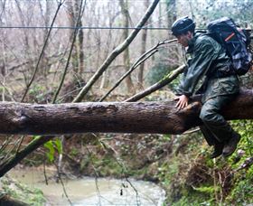 Bear Grylls Survival Academy - Accommodation Sunshine Coast 5