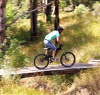 The Steps Mountain Bike Park - Accommodation Sunshine Coast