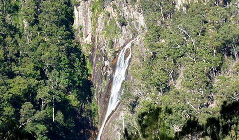 Carrai National Park - Accommodation Sunshine Coast 0