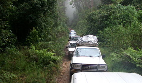 Carrai National Park - Accommodation Sunshine Coast 3