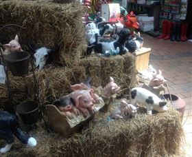 Country Elegance Gardens And Gifts - Accommodation Sunshine Coast 3