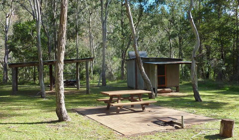 The Green Gully Track - Accommodation Sunshine Coast 3