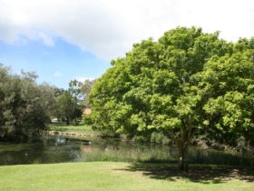 Hervey Bay Botanic Gardens - Accommodation Sunshine Coast 0