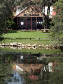 Hervey Bay Botanic Gardens - Accommodation Sunshine Coast 1