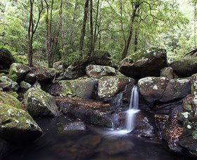 Kangaroo River - Accommodation Sunshine Coast 0