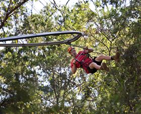 TreeTops Crazy Rider - Accommodation Sunshine Coast 1