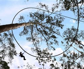 TreeTops Crazy Rider - Accommodation Sunshine Coast 0