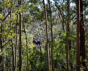 TreeTops Crazy Rider - Accommodation Sunshine Coast 3