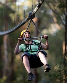 TreeTops Crazy Rider - Accommodation Sunshine Coast 2