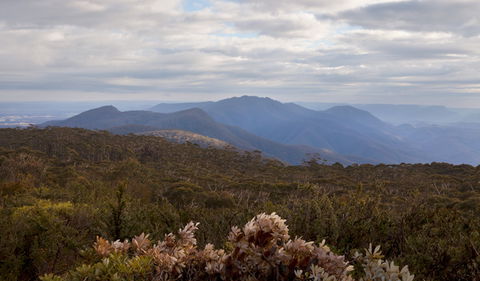 Budawang National Park - Accommodation Sunshine Coast 1
